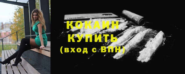 прущие грибы Арсеньев