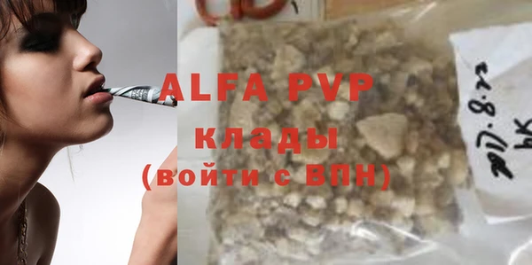 прущие грибы Арсеньев