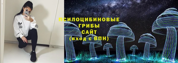 дурь Аркадак