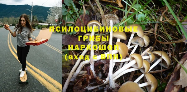 дурь Аркадак